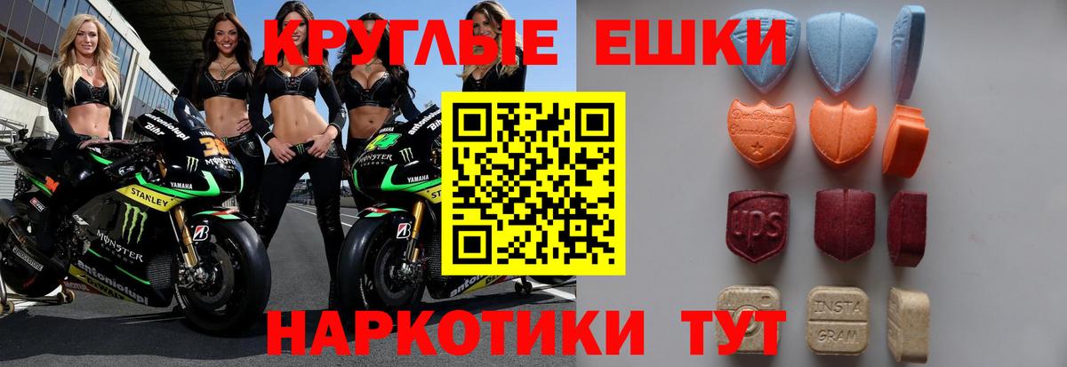 Ecstasy Philipp Plein  Экстази  Красный Сулин  Вход с VPN 