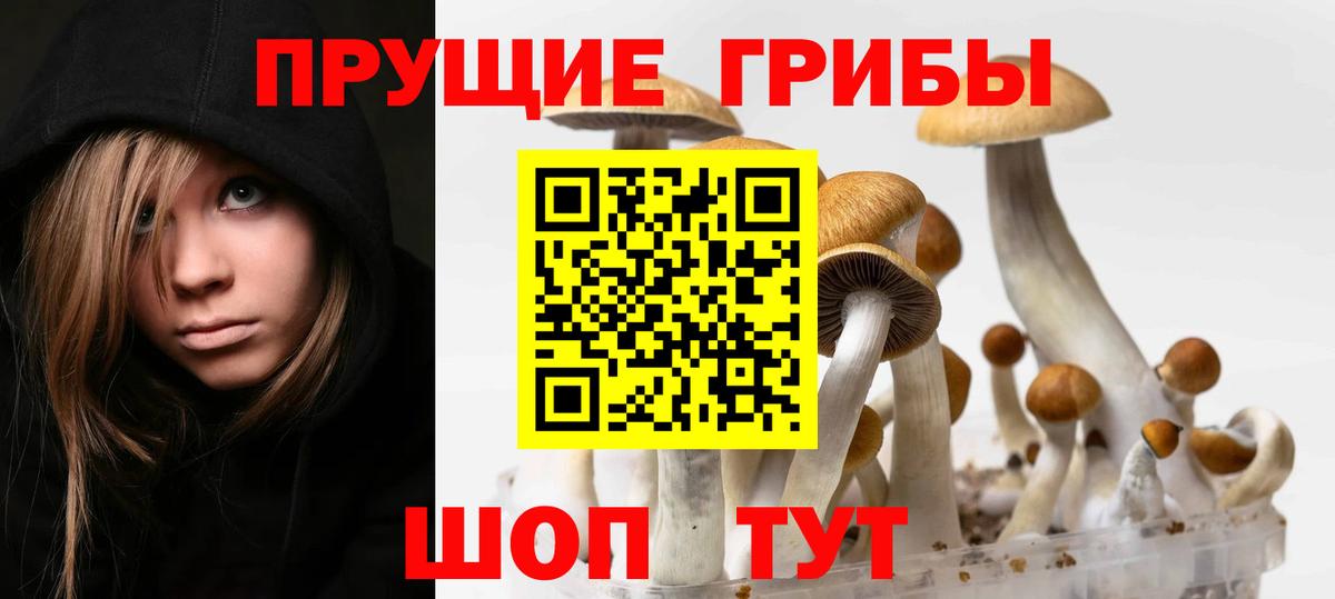 хочу наркоту  Псилоцибиновые грибы MAGIC MUSHROOMS  Вход с VPN  Галлюциногенные грибы мицелий  Красный Сулин 